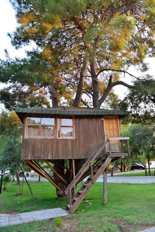 Gorge Club Hotel Saklikent Ruang foto