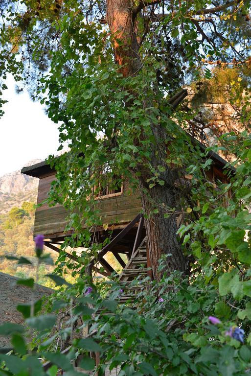 Gorge Club Hotel Saklikent Ruang foto